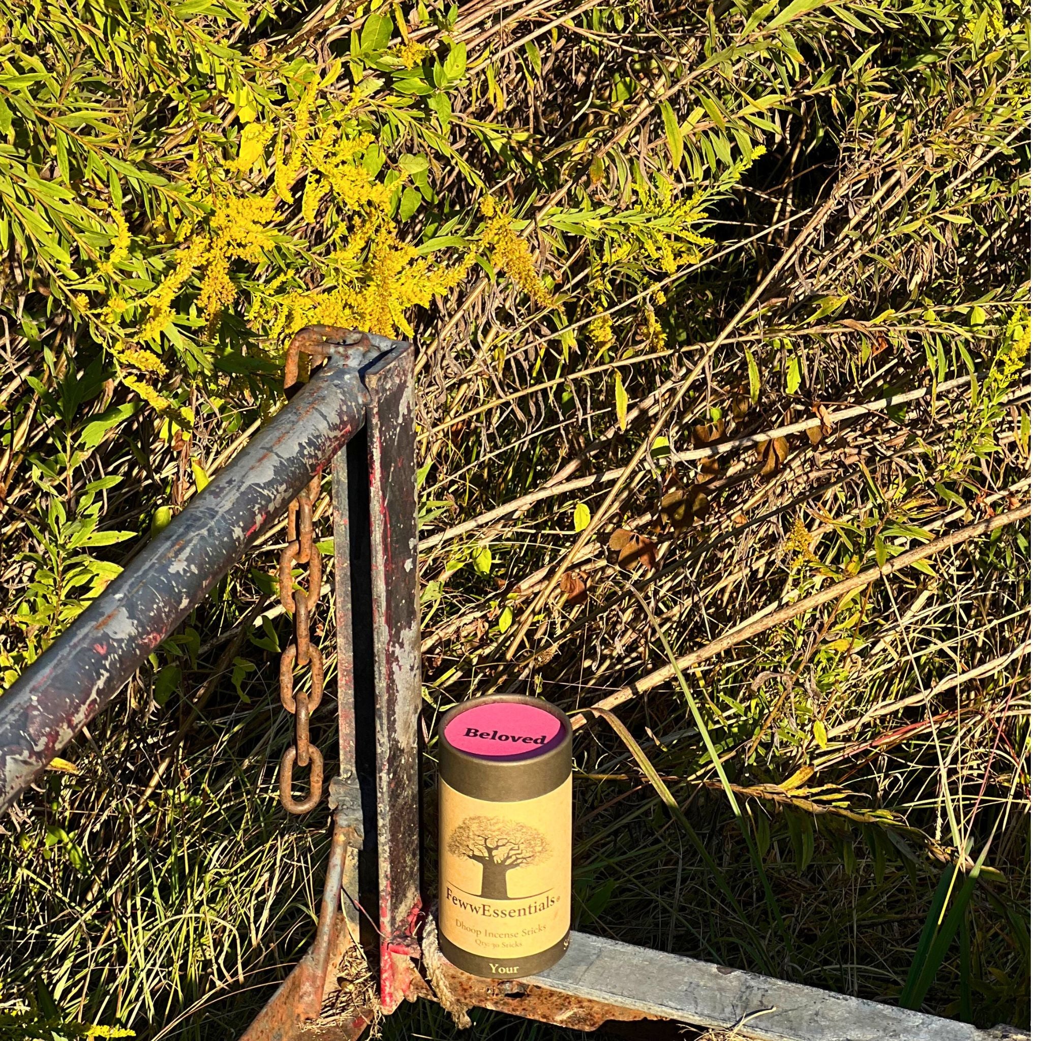 FewwEssentials Dhoop Incense Sticks labeled Beloved placed next to a weathered gate with lush greenery around.