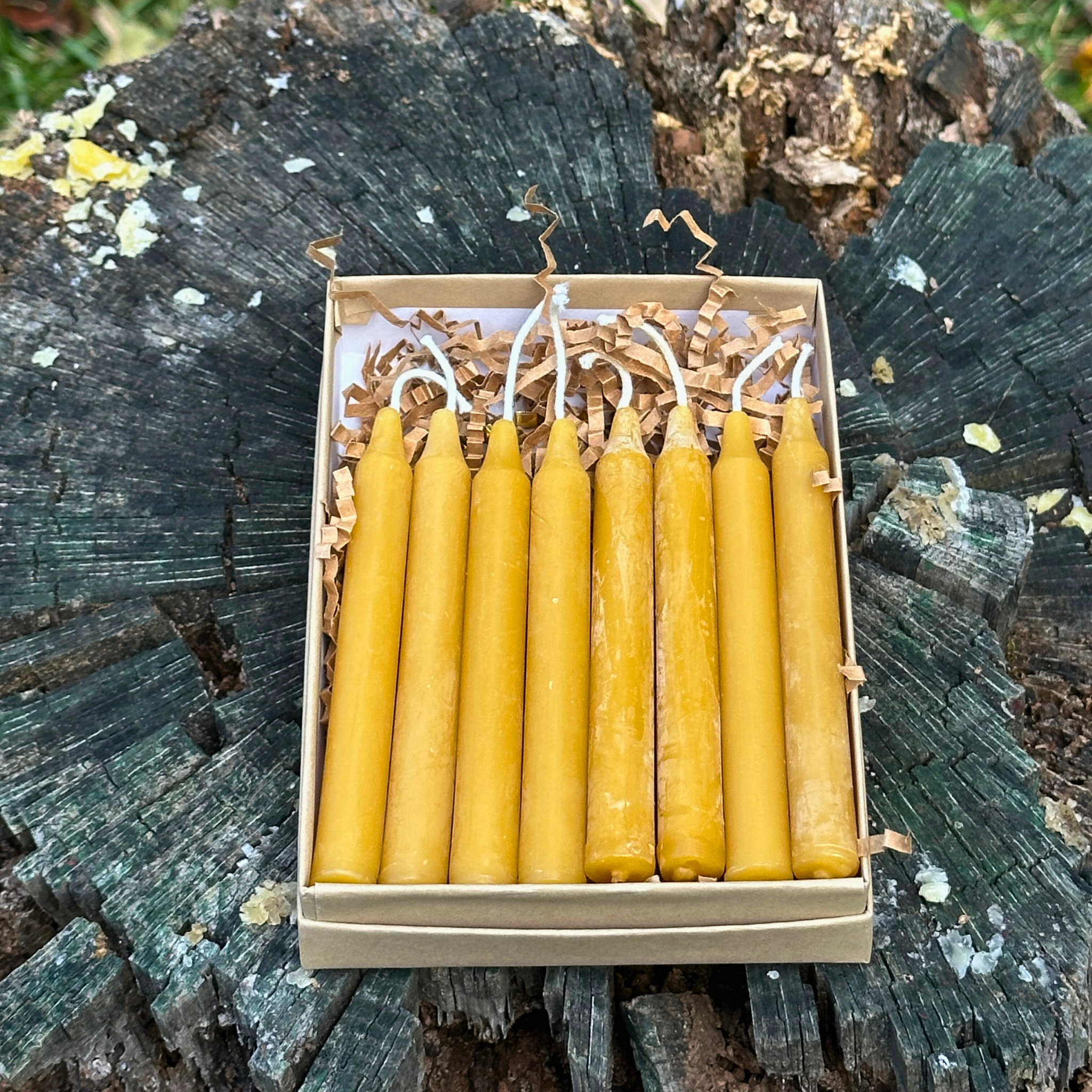 FewwEssentials pure beeswax birthday candles, set of eight handcrafted golden candles in sustainable packaging, natural lighting.