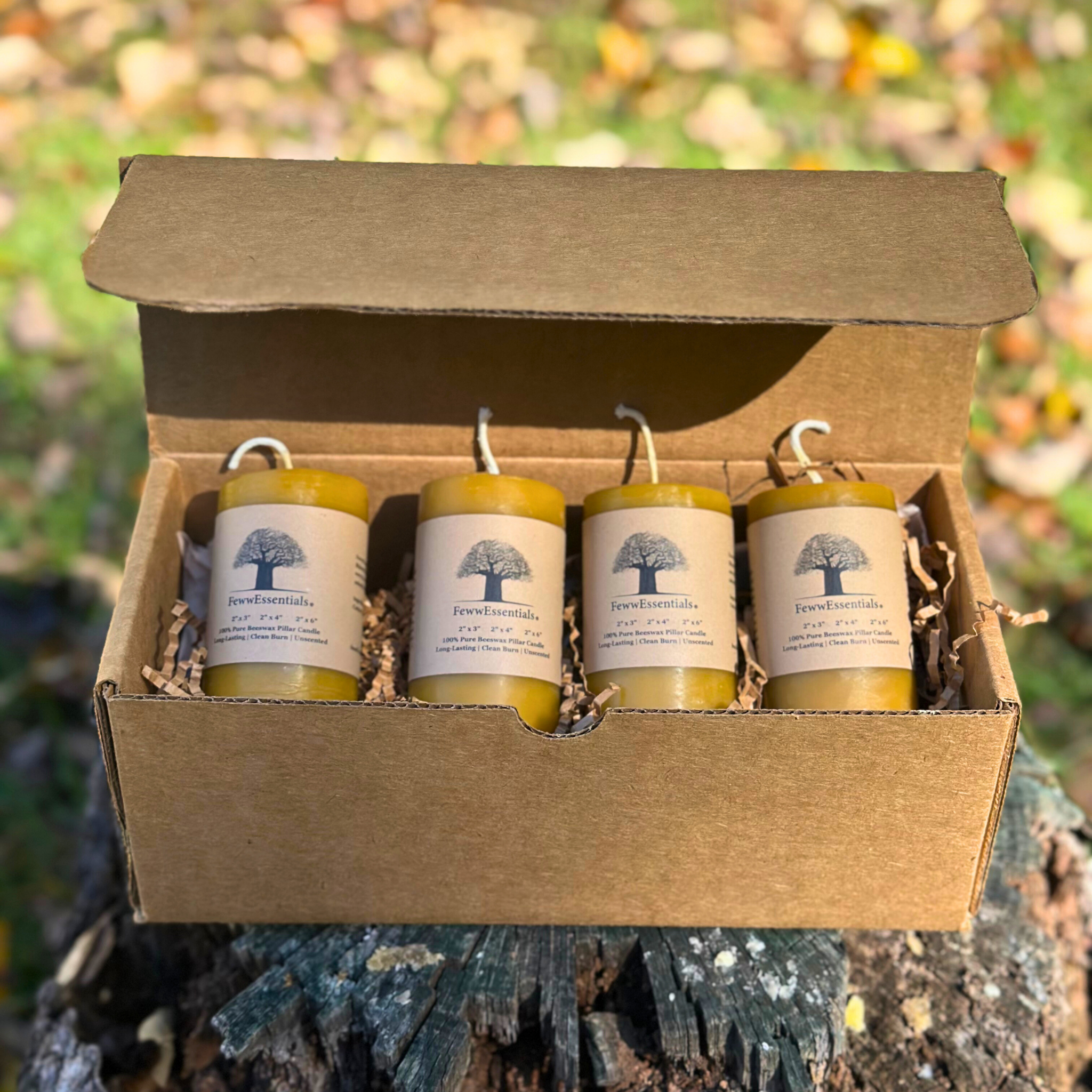 FewwEssentials 4-pack of handcrafted pure beeswax pillar candles in eco-friendly kraft box, natural golden candles on rustic outdoor background.