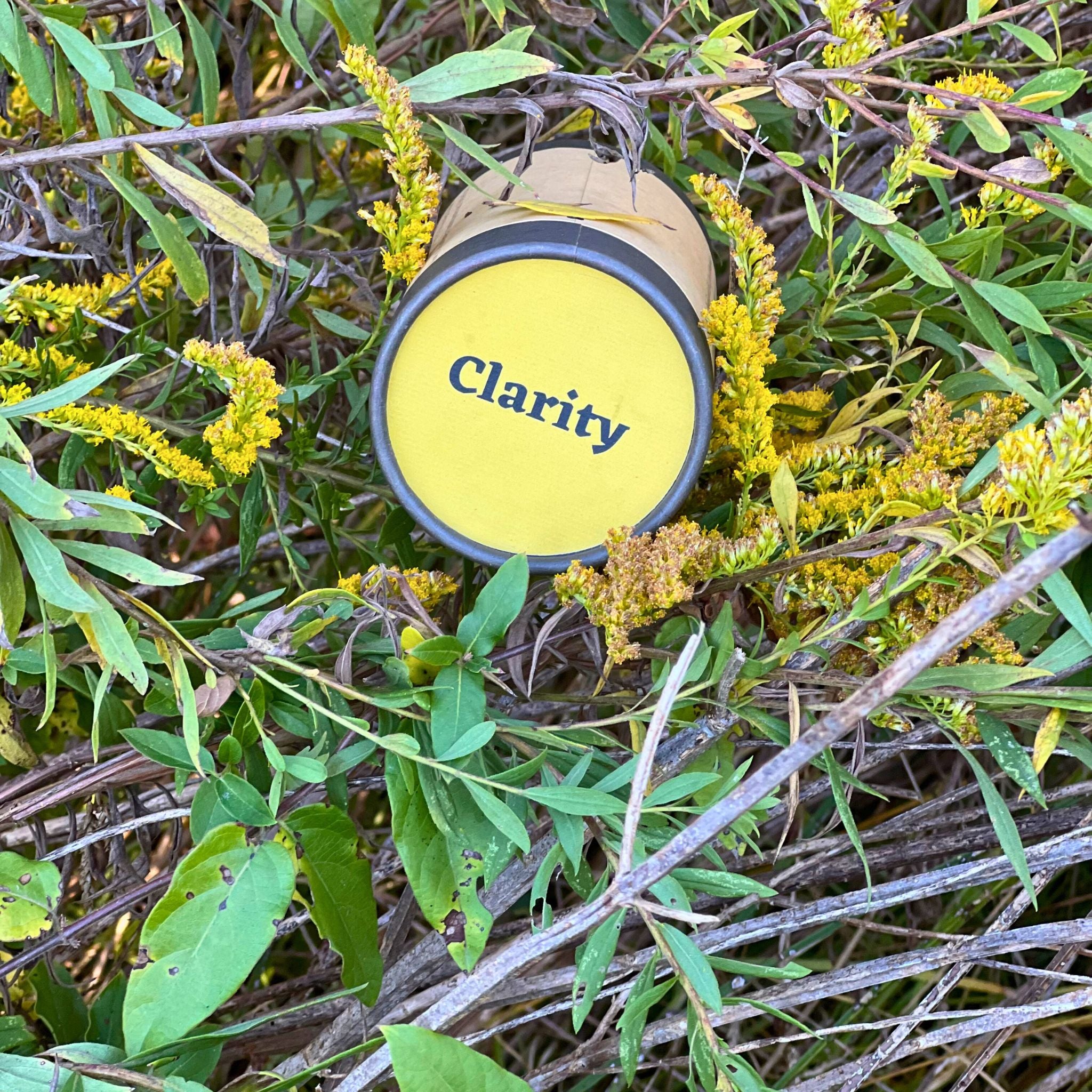 Close-up of FewwEssentials Dhoop Incense Sticks labeled Clarity nestled among green leaves and yellow flowers.