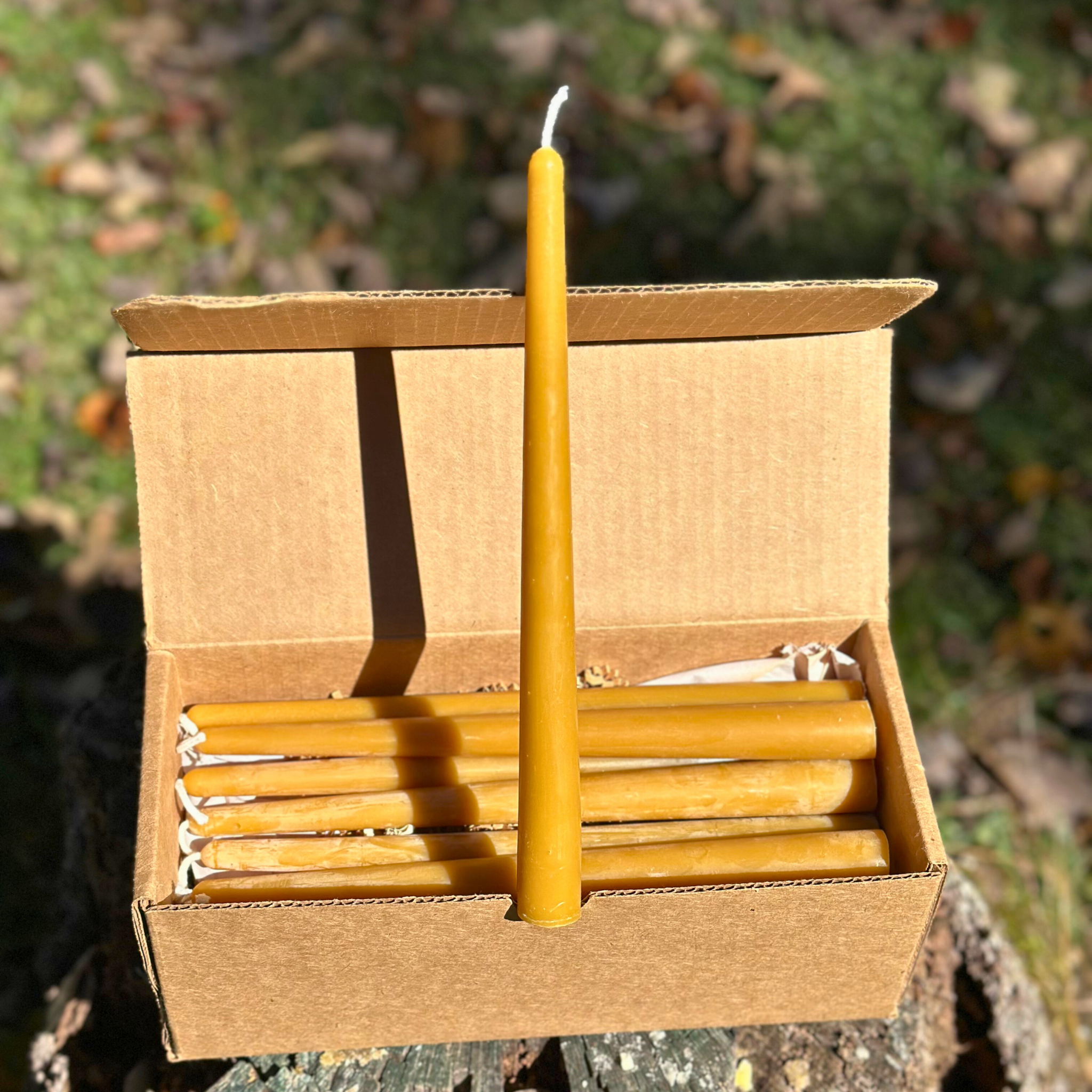FewwEssentials 10-inch pure beeswax taper candle set of eight in eco-friendly kraft box, handcrafted natural candles.