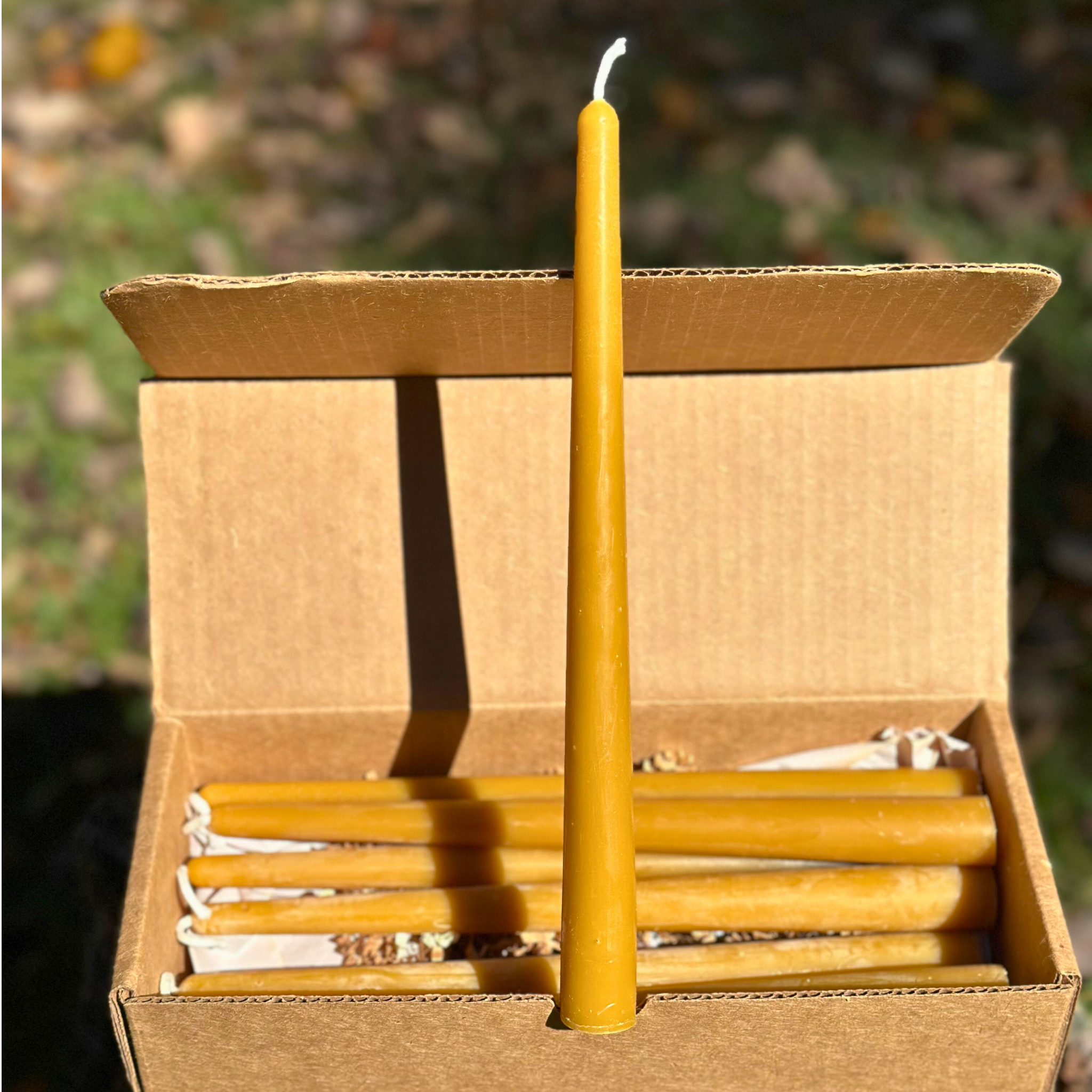 FewwEssentials 10-inch pure beeswax taper candle set of eight in eco-friendly kraft box, handcrafted natural candles.
