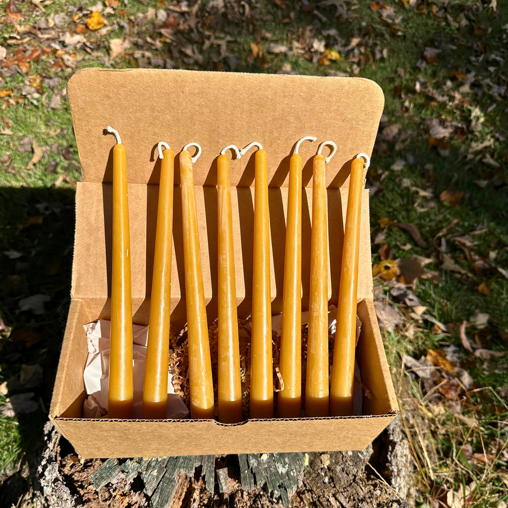 FewwEssentials 10-inch beeswax taper candle set of eight, natural golden candles with cotton wicks in kraft box.