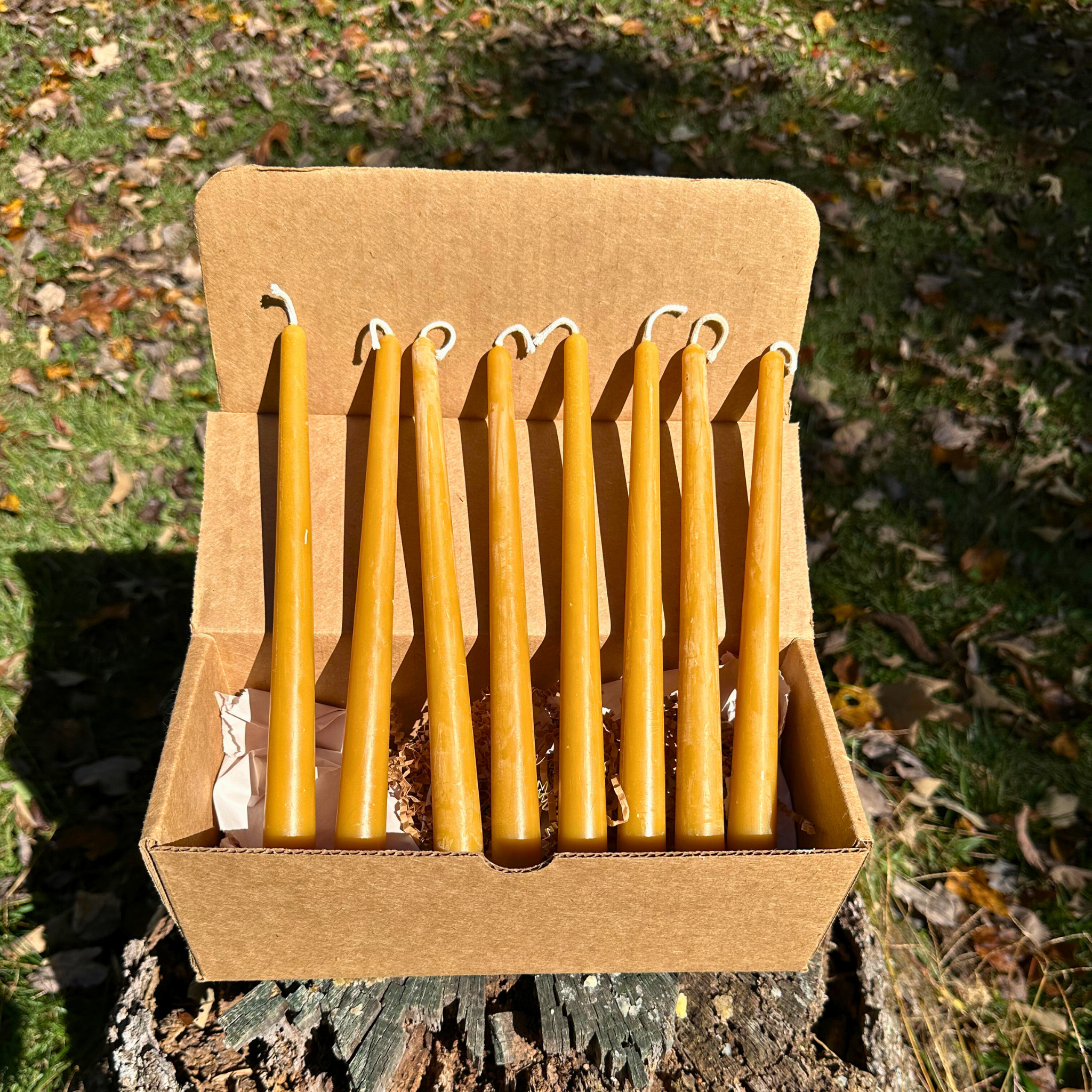 FewwEssentials 10-inch beeswax taper candle set of eight, natural golden candles with cotton wicks in kraft box.