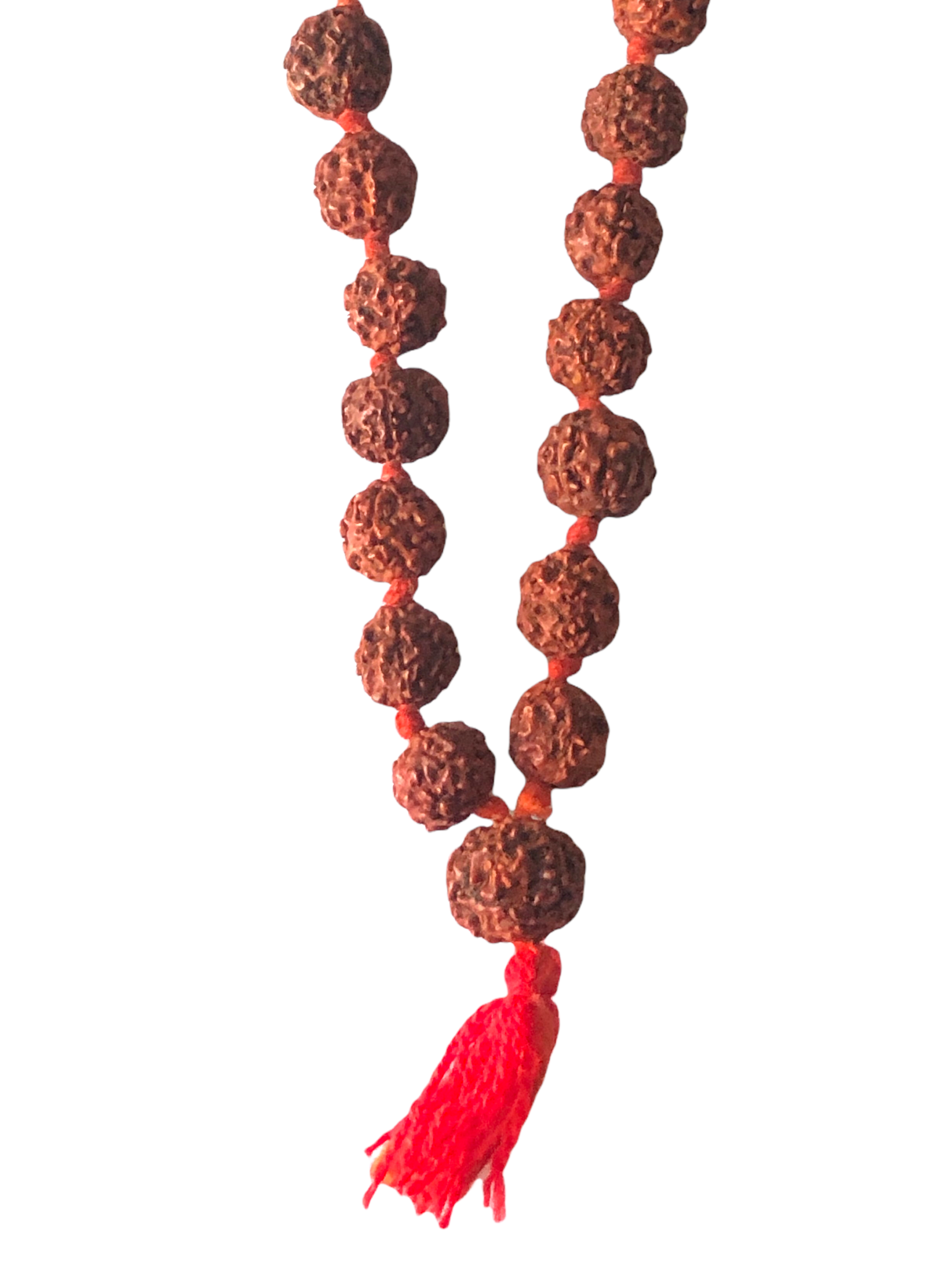 5 Mukhi Rudraksha Mala Necklace (54+1 beads with red tassel)